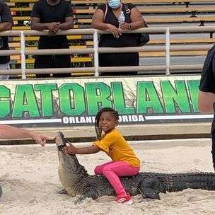 Dream Mansions and Everyday Magic